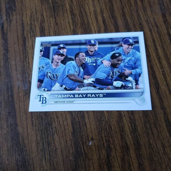 2022 Topps Series 1 Tampa Bay Rays Team Base Set 14 Cards - Picture 12 of 15